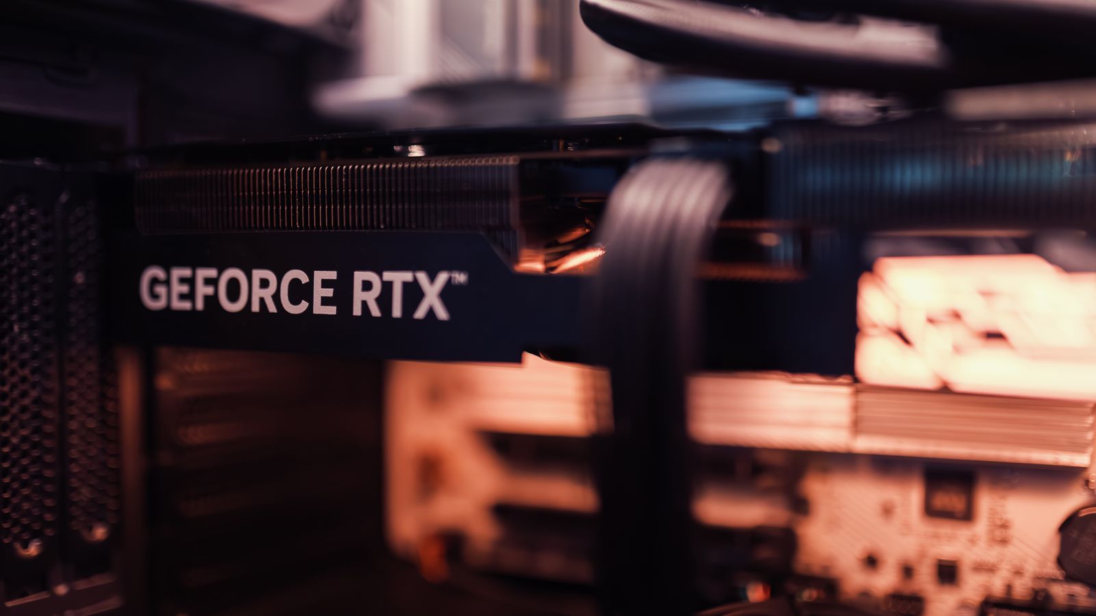Cara Memilih GPU untuk Gaming: NVIDIA vs AMD (2026)