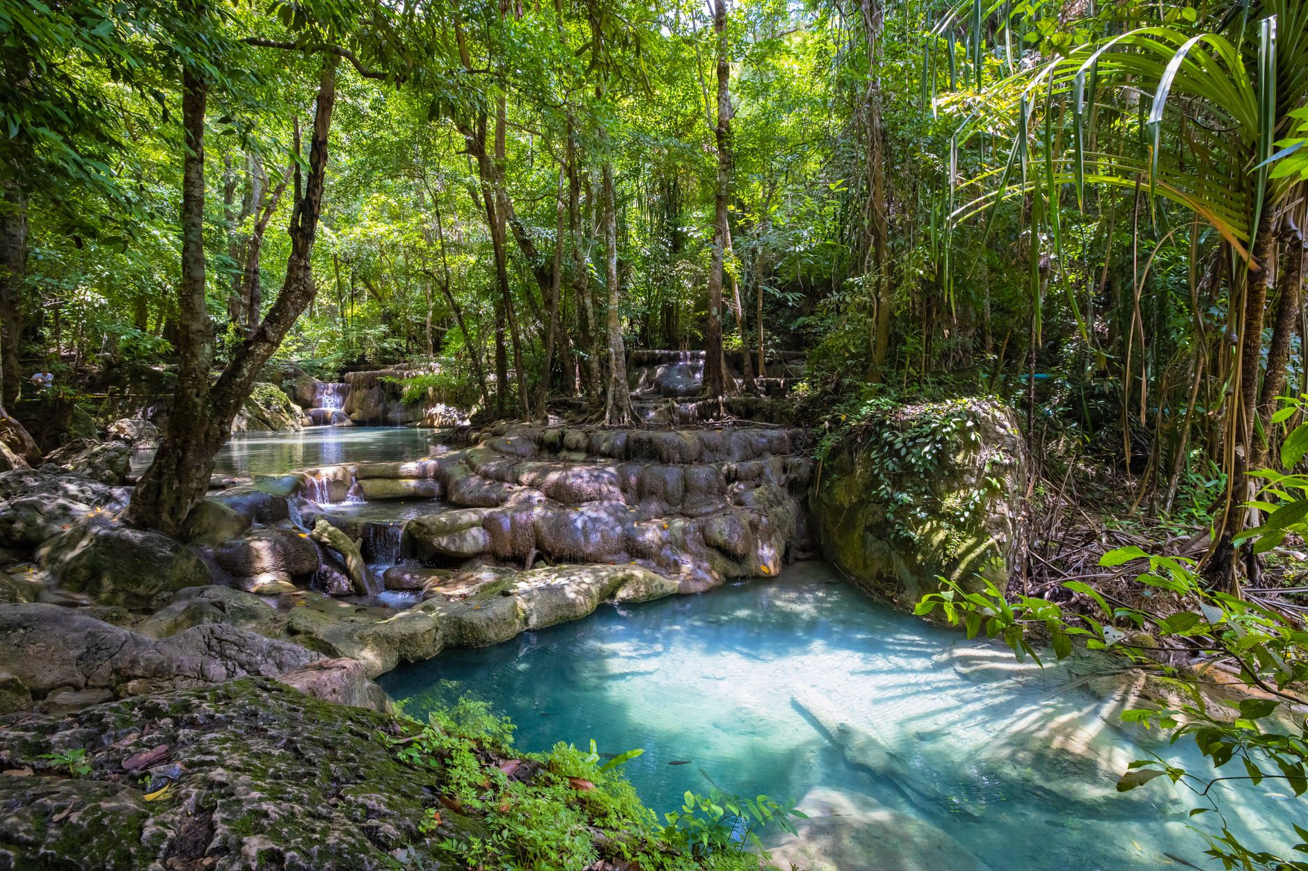Aliran air terjun di tengah hutan hijau