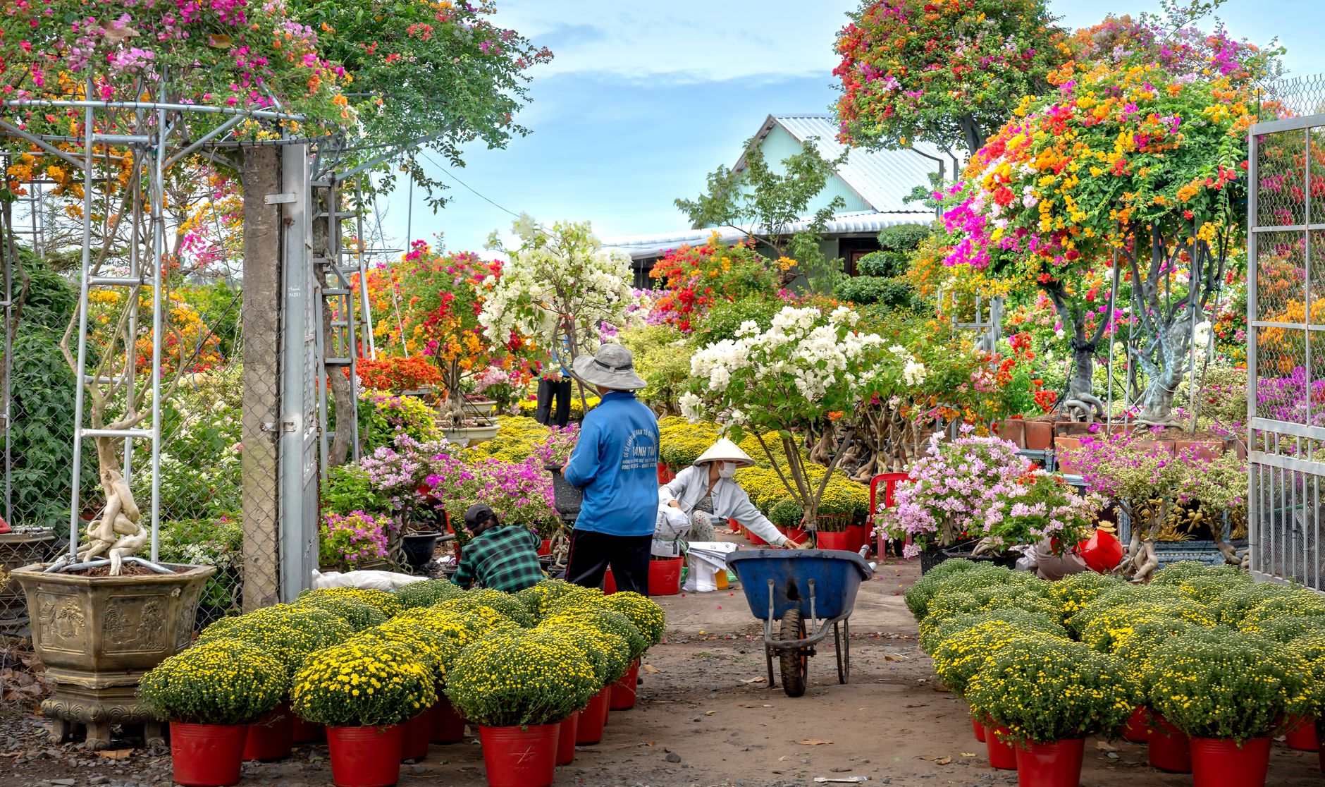 Taman dengan pepohonan berwarna-warni